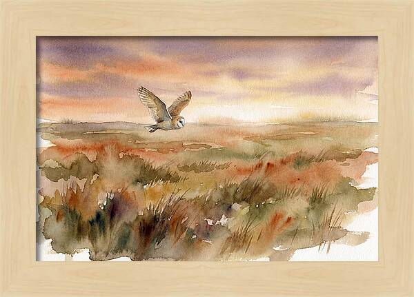 Barn Owl Gliding Over Grassland