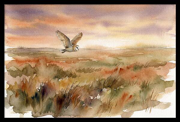 Barn Owl Gliding Over Grassland