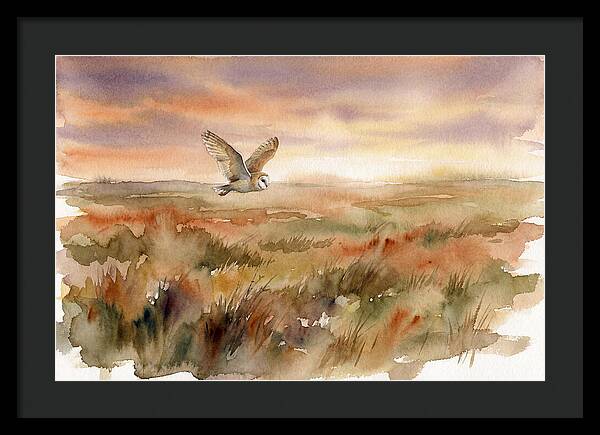 Barn Owl Gliding Over Grassland
