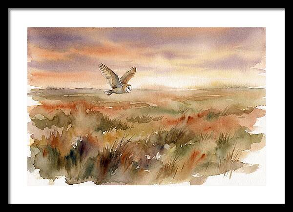 Barn Owl Gliding Over Grassland
