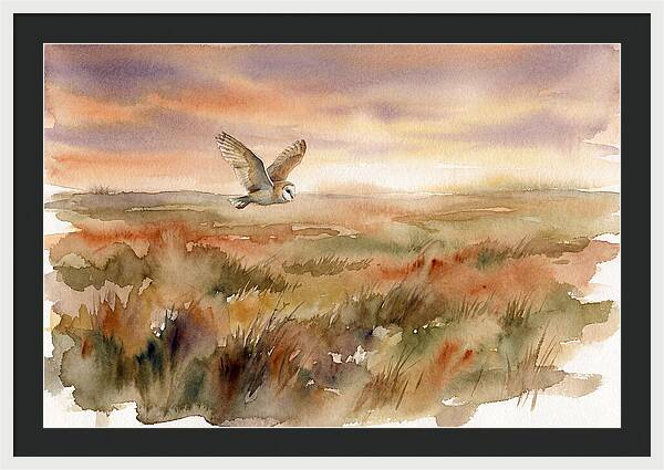 Barn Owl Gliding Over Grassland