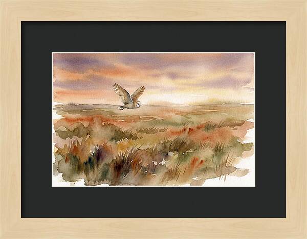 Barn Owl Gliding Over Grassland