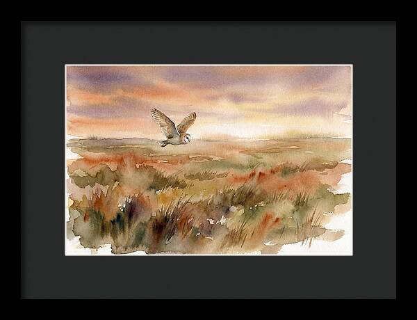 Barn Owl Gliding Over Grassland