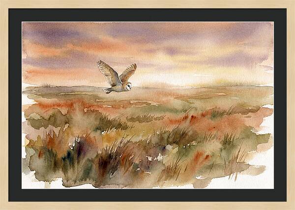 Barn Owl Gliding Over Grassland