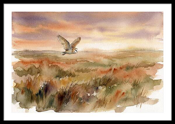 Barn Owl Gliding Over Grassland
