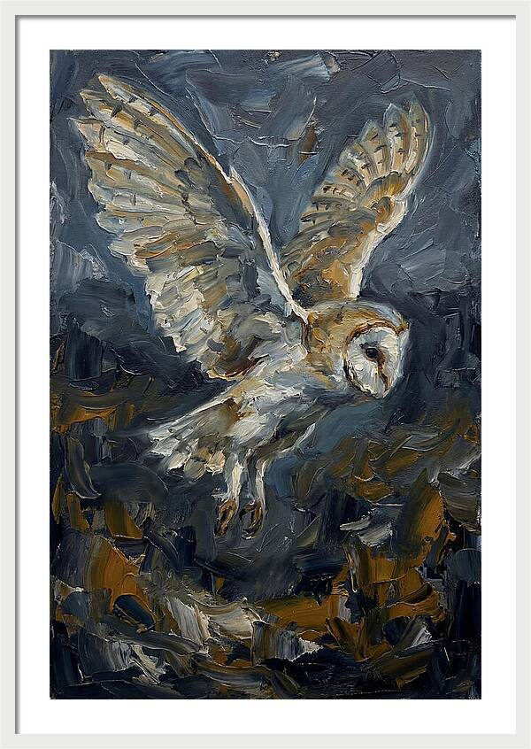 Barn Owl In Flight