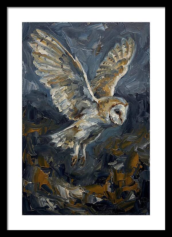 Barn Owl In Flight