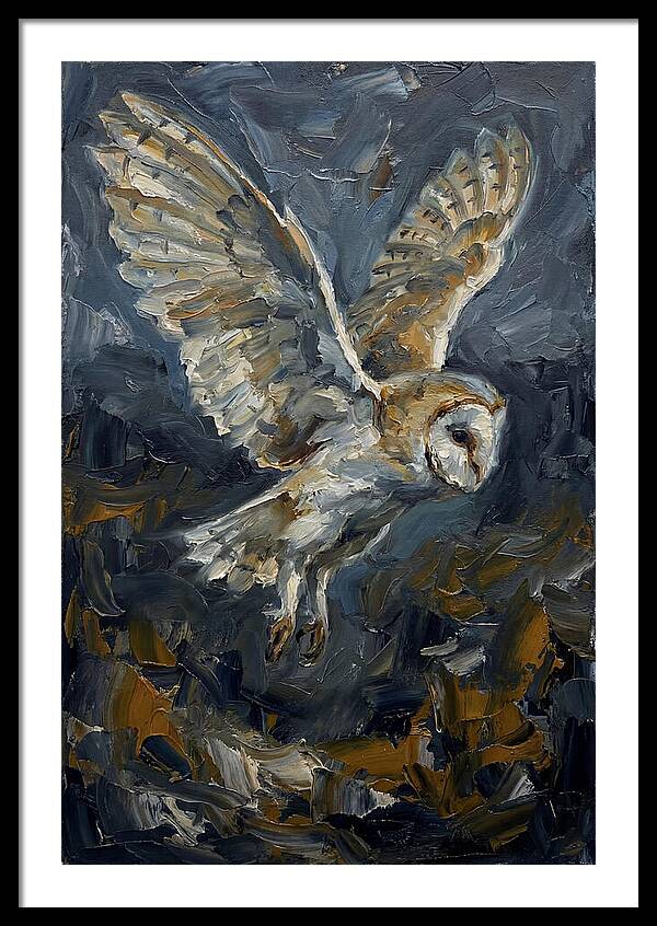Barn Owl In Flight