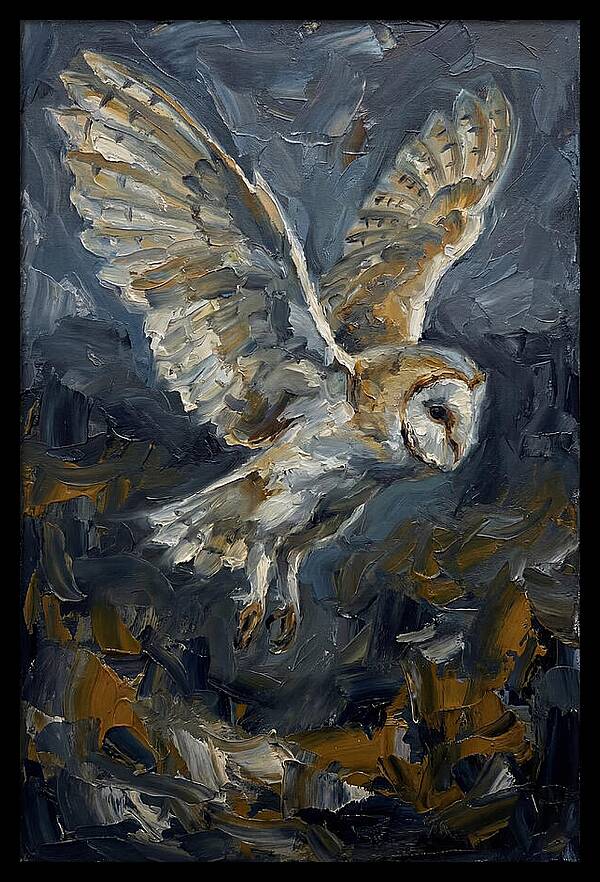 Barn Owl In Flight