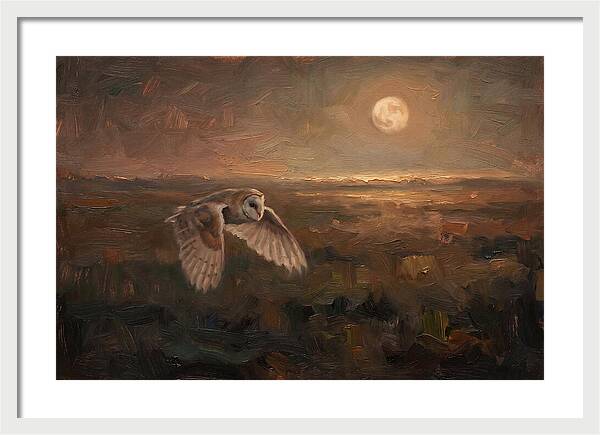 Barn Owl In Silent Flight