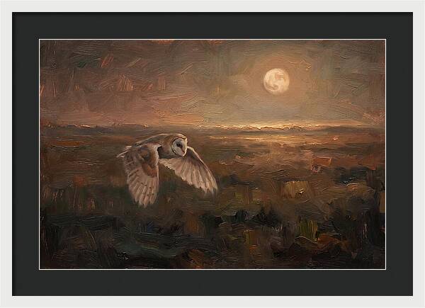 Barn Owl In Silent Flight