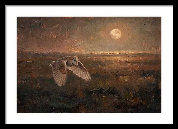 Barn Owl In Silent Flight