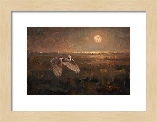 Barn Owl In Silent Flight