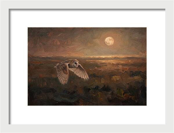 Barn Owl In Silent Flight