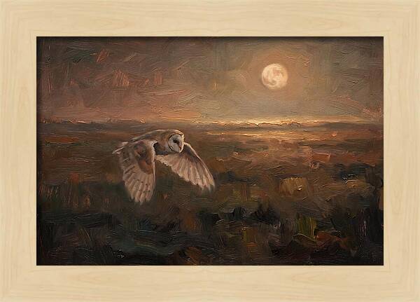 Barn Owl In Silent Flight