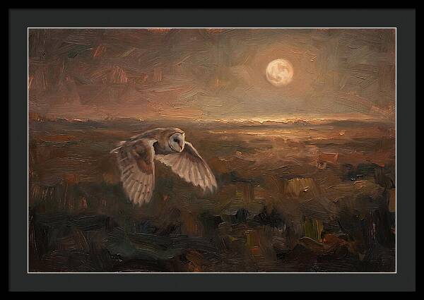 Barn Owl In Silent Flight