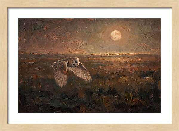 Barn Owl In Silent Flight