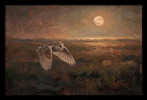 Barn Owl In Silent Flight