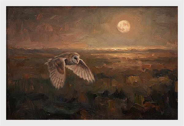 Barn Owl In Silent Flight