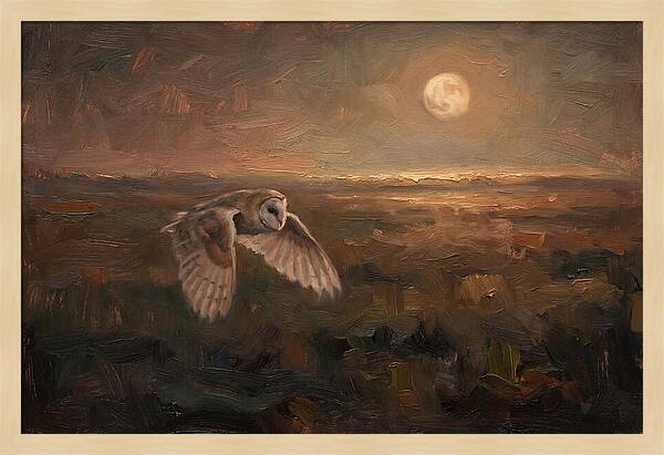 Barn Owl In Silent Flight