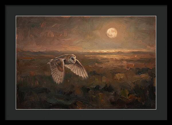 Barn Owl In Silent Flight