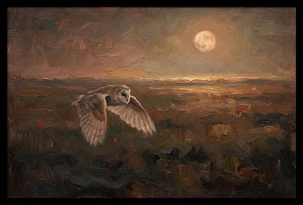 Barn Owl In Silent Flight