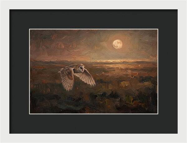Barn Owl In Silent Flight