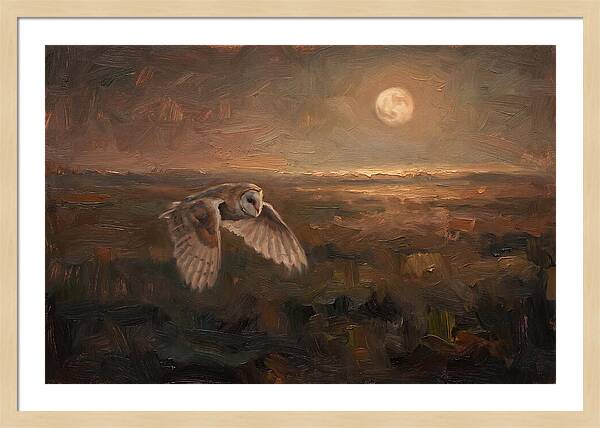 Barn Owl In Silent Flight