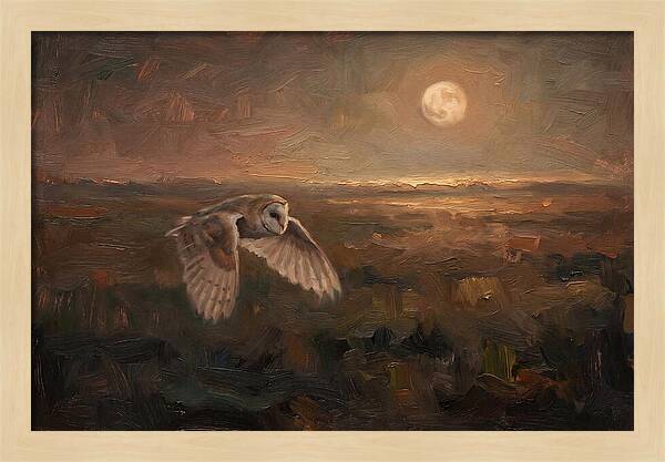 Barn Owl In Silent Flight