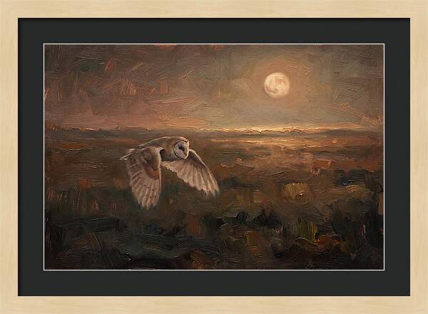 Barn Owl In Silent Flight