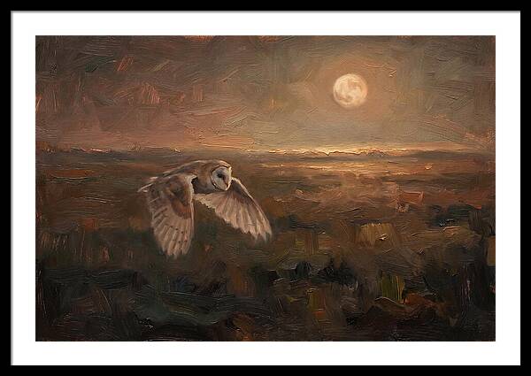 Barn Owl Art