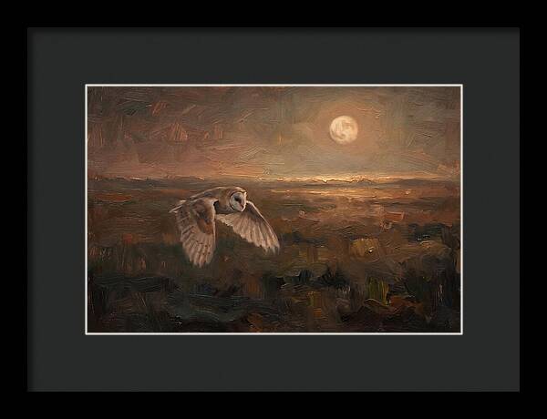 Barn Owl In Silent Flight