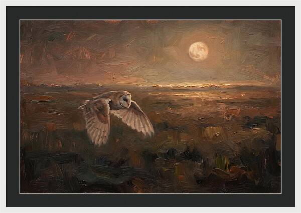 Barn Owl In Silent Flight