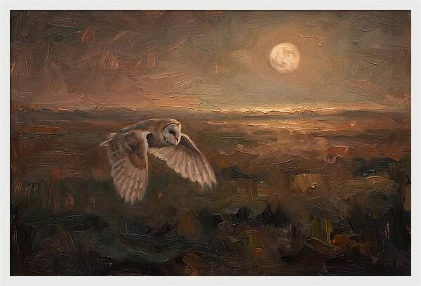 Barn Owl In Silent Flight