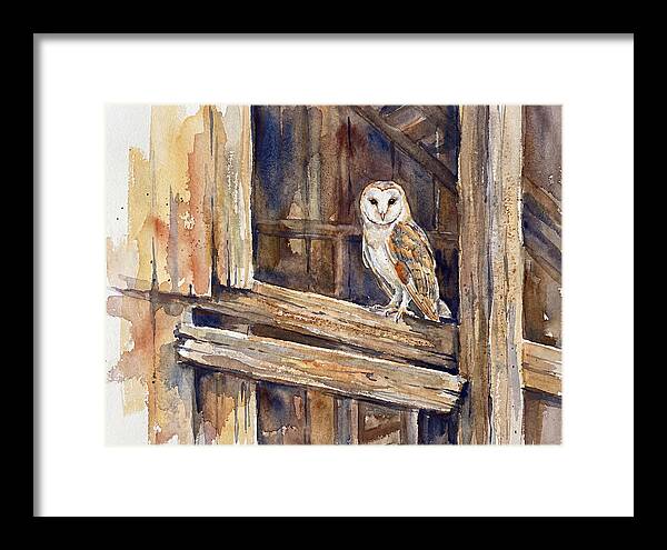 Barn Owl Perched In Rustic Setting