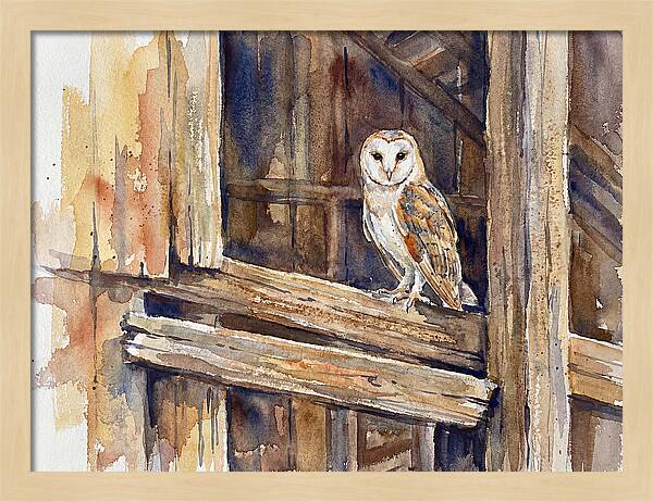 Barn Owl Perched In Rustic Setting