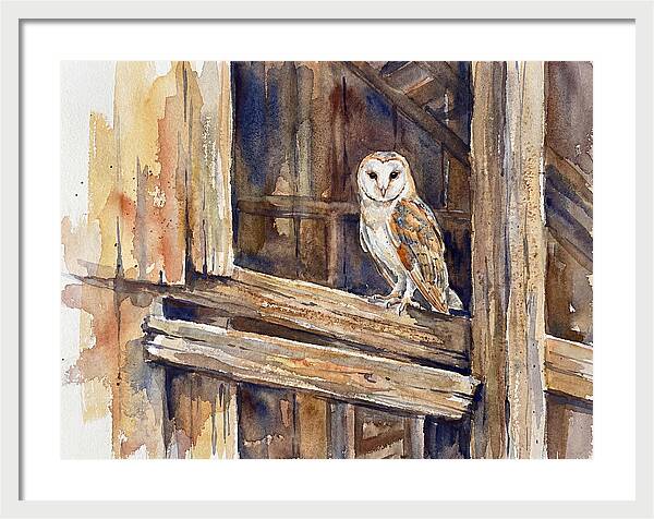 Barn Owl Perched In Rustic Setting