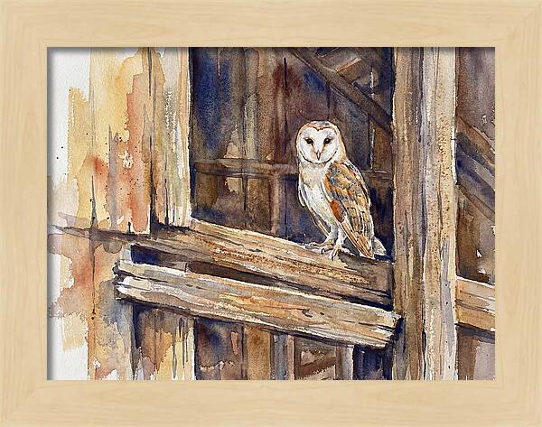 Barn Owl Perched In Rustic Setting
