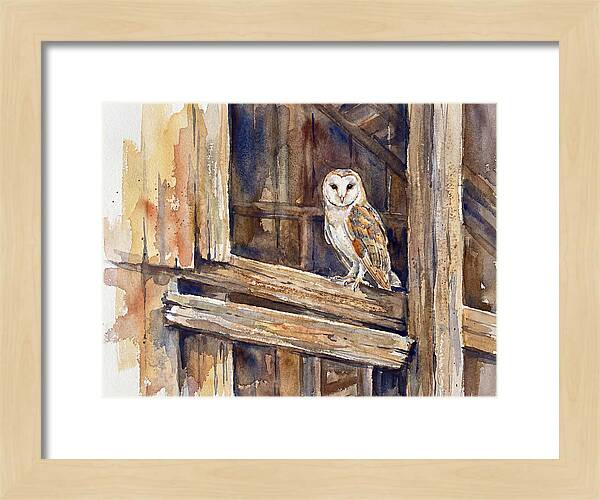 Barn Owl Perched In Rustic Setting