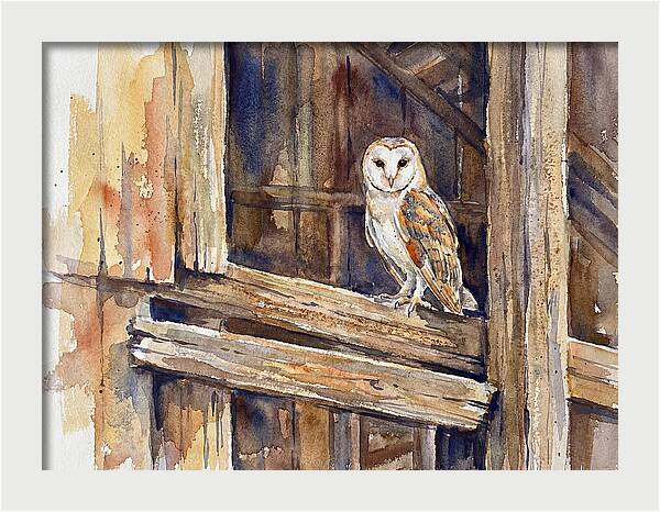 Barn Owl Perched In Rustic Setting