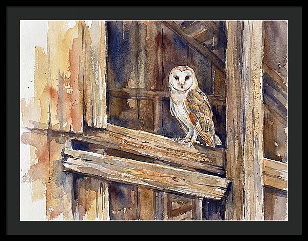Barn Owl Perched In Rustic Setting