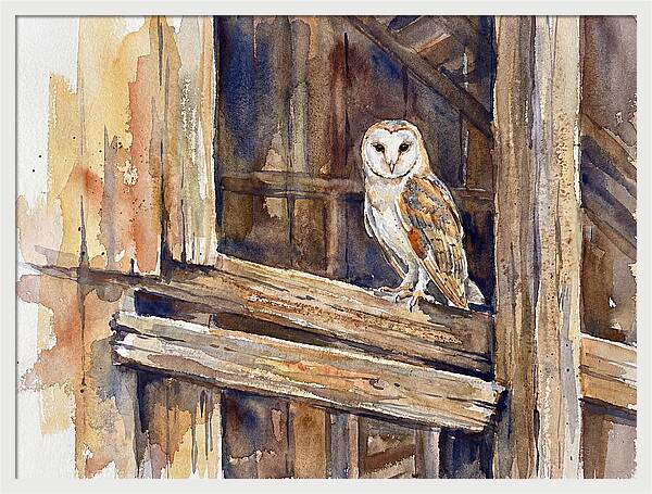 Barn Owl Perched In Rustic Setting