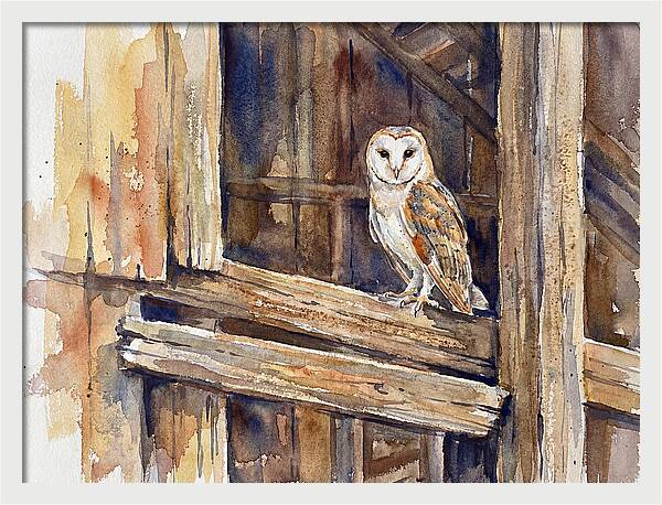 Barn Owl Perched In Rustic Setting