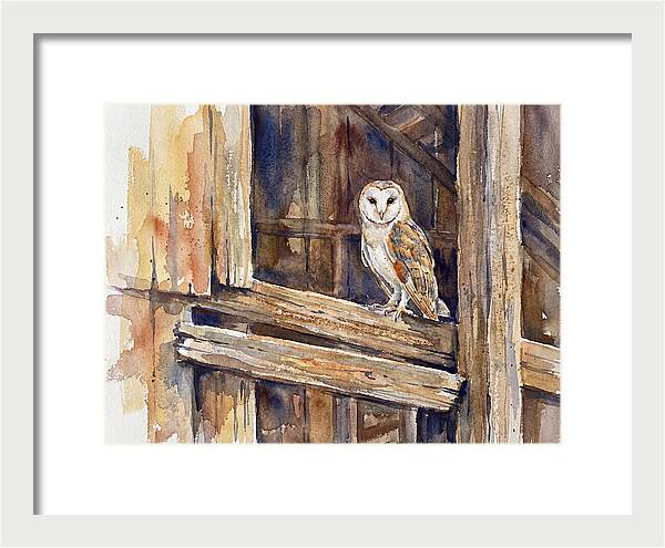 Barn Owl Perched In Rustic Setting