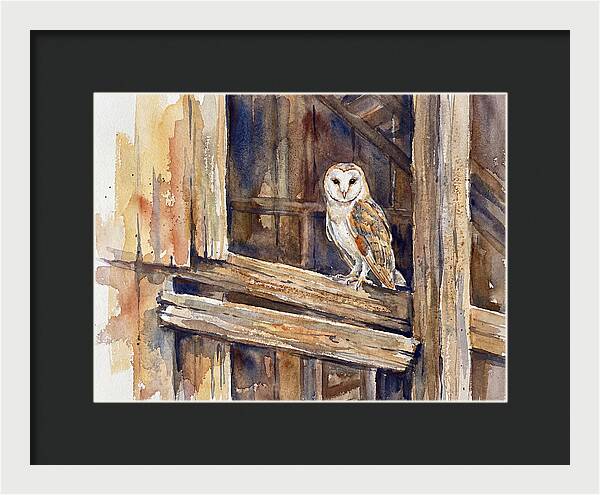 Barn Owl Perched In Rustic Setting