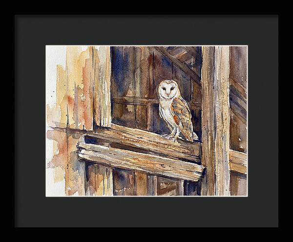 Barn Owl Perched In Rustic Setting