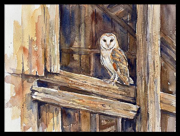 Barn Owl Perched In Rustic Setting
