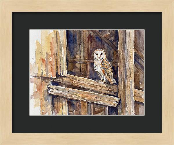 Barn Owl Perched In Rustic Setting