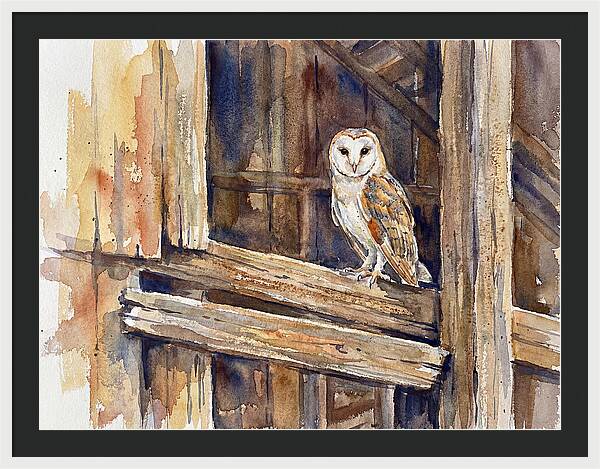Barn Owl Perched In Rustic Setting