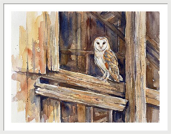 Barn Owl Perched In Rustic Setting